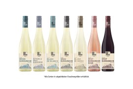 Ein ansprechendes Arrangement von Weinflaschen, das die Vielfalt der Weinsorten und deren ansprechende Etikettierung präsentiert.