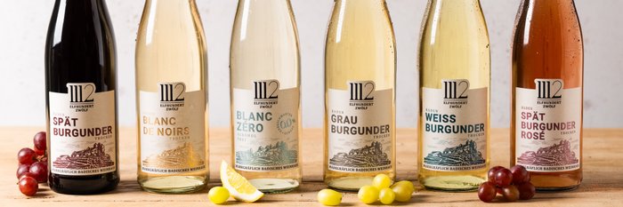 Sechs Flaschen Wein stehen auf einem Holztisch, jede mit einem einzigartigen Etikett und verschiedenen Farben.