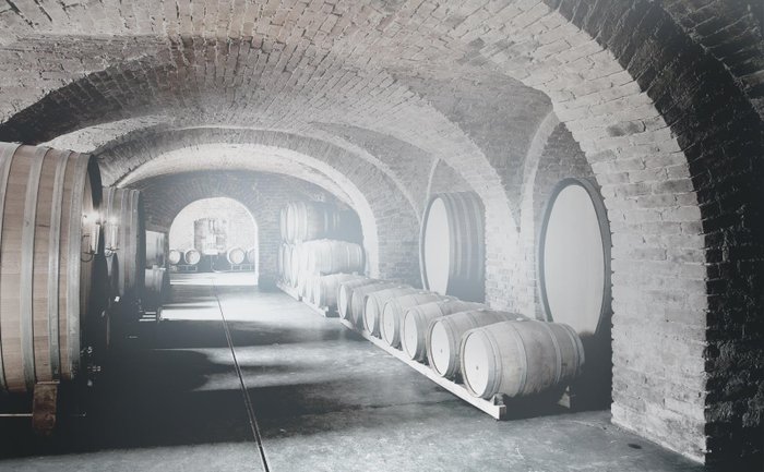 Ein alter Weinkeller mit großen Holzfässern, die ordentlich aufgereiht sind, und einem sanften Licht, das durch die Bögen strahlt.
