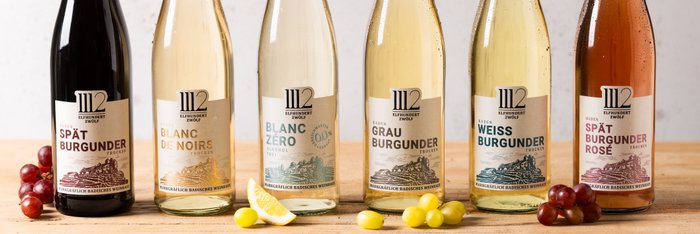 Sechs Flaschen Wein stehen auf einem Holztisch, jede mit einem einzigartigen Etikett und verschiedenen Farben.