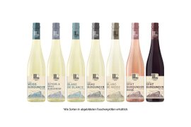 Ein ansprechendes Arrangement von Weinflaschen, das die Vielfalt der Weinsorten und deren ansprechende Etikettierung präsentiert.