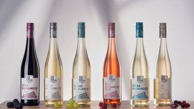 Sechs 1112 Weinflaschen stehen auf einem Holzbrett, jede mit einem einzigartigen Etikett und verschiedenen Farben, umgeben von frischen Beeren.