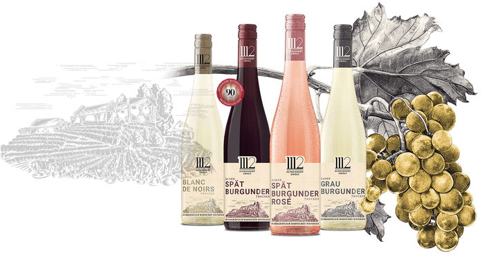 Vier Flaschen Wein stehen nebeneinander, jede mit einem einzigartigen Etikett und verschiedenen Farben, vor einem stilisierten Weinblatt.