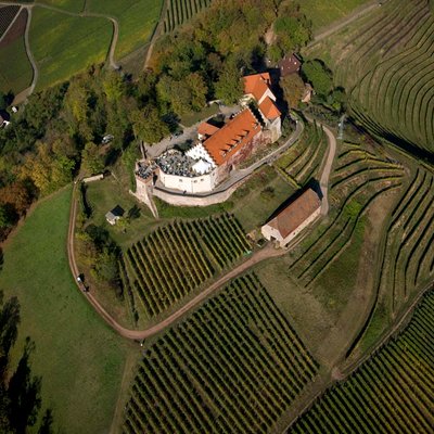 Eine Luftaufnahme zeigt ein malerisches Weingut, umgeben von sanften Hügeln und üppigen Weinreben in verschiedenen Grüntönen.