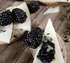 Elfhundertzwölf Spätburgunder zu Käse