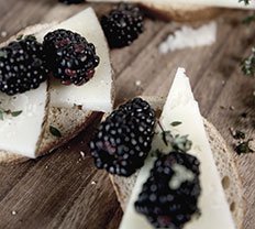 Scheiben von frischem Brot belegt mit Käse und saftigen Brombeeren, dekoriert mit Thymian auf einem rustikalen Holzbrett.
